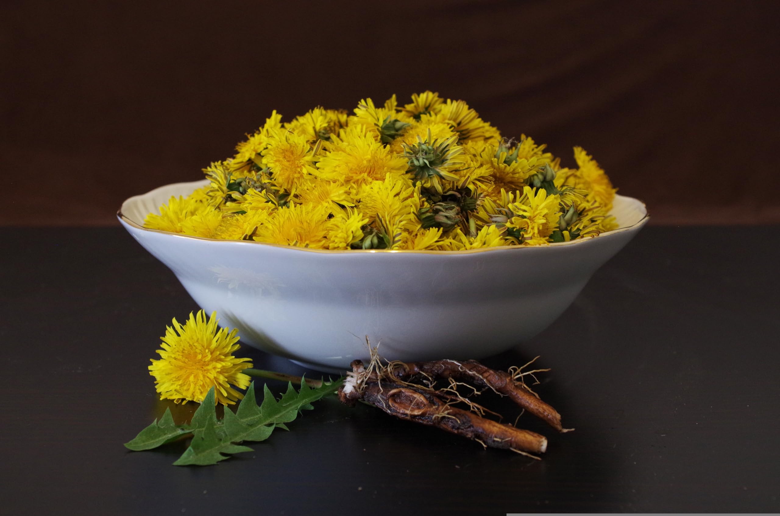 Löwenzahn (Taraxacum officinale) Samen. Pusteblume, Hasenfutter, Heilpflanze (200000 Samen = 110,0g)