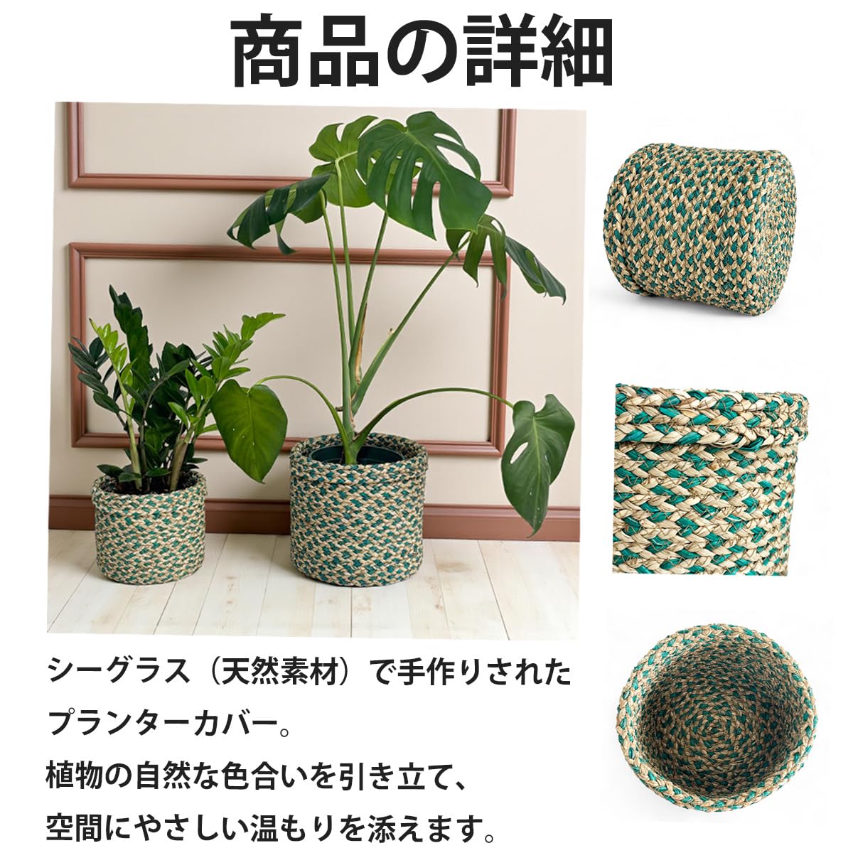 Amazon.co.jp: シーグラス プランターバスケット (グリーン, Mサイズ