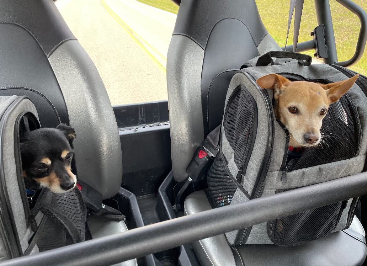 9/mo Finance Apollo Walker Pet Carrier Backpack for Large/Small Cats