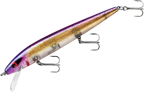 Smithwick Lures Perfect 10 Rogue Fishing Lure