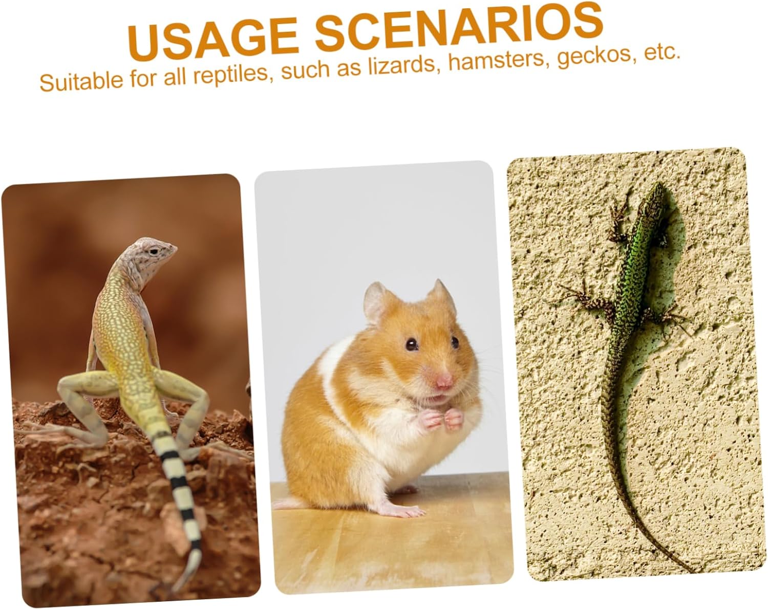 8pcs Quality Material Hamster Pen Guinea Pig Playpen Small Pet Playpen Ramp Bedding