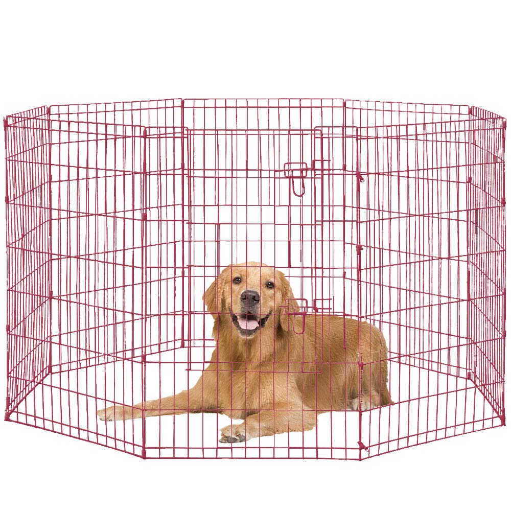 portuguese water dogs near me