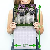 Vista 52 de Razas de Perros 2017