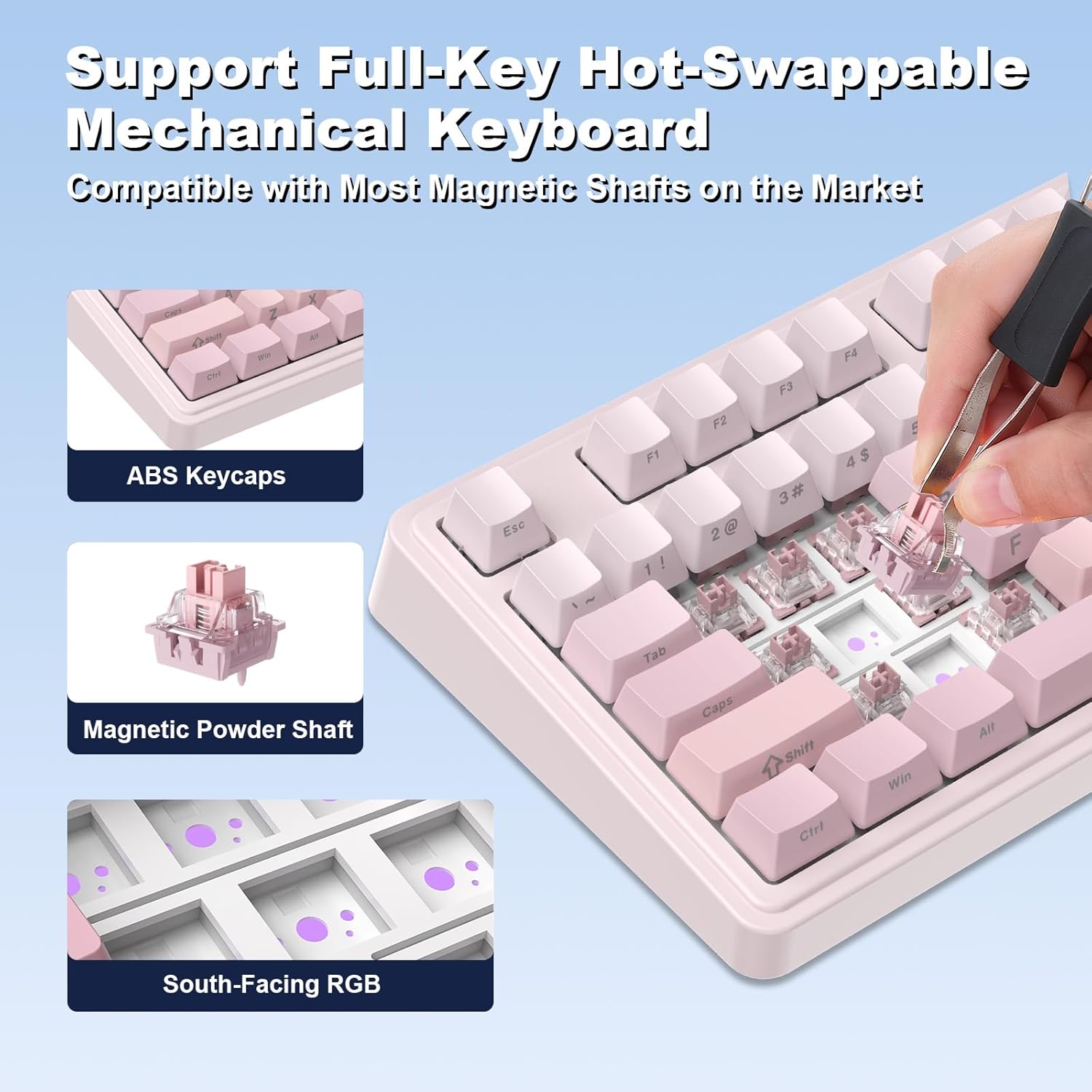 Hot-Swappable Switch Replacement