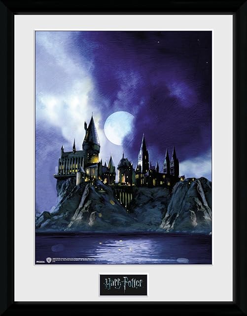 GB eye Harry Potter Hogwarts Painted 30 x 40cm Framed Collector Print