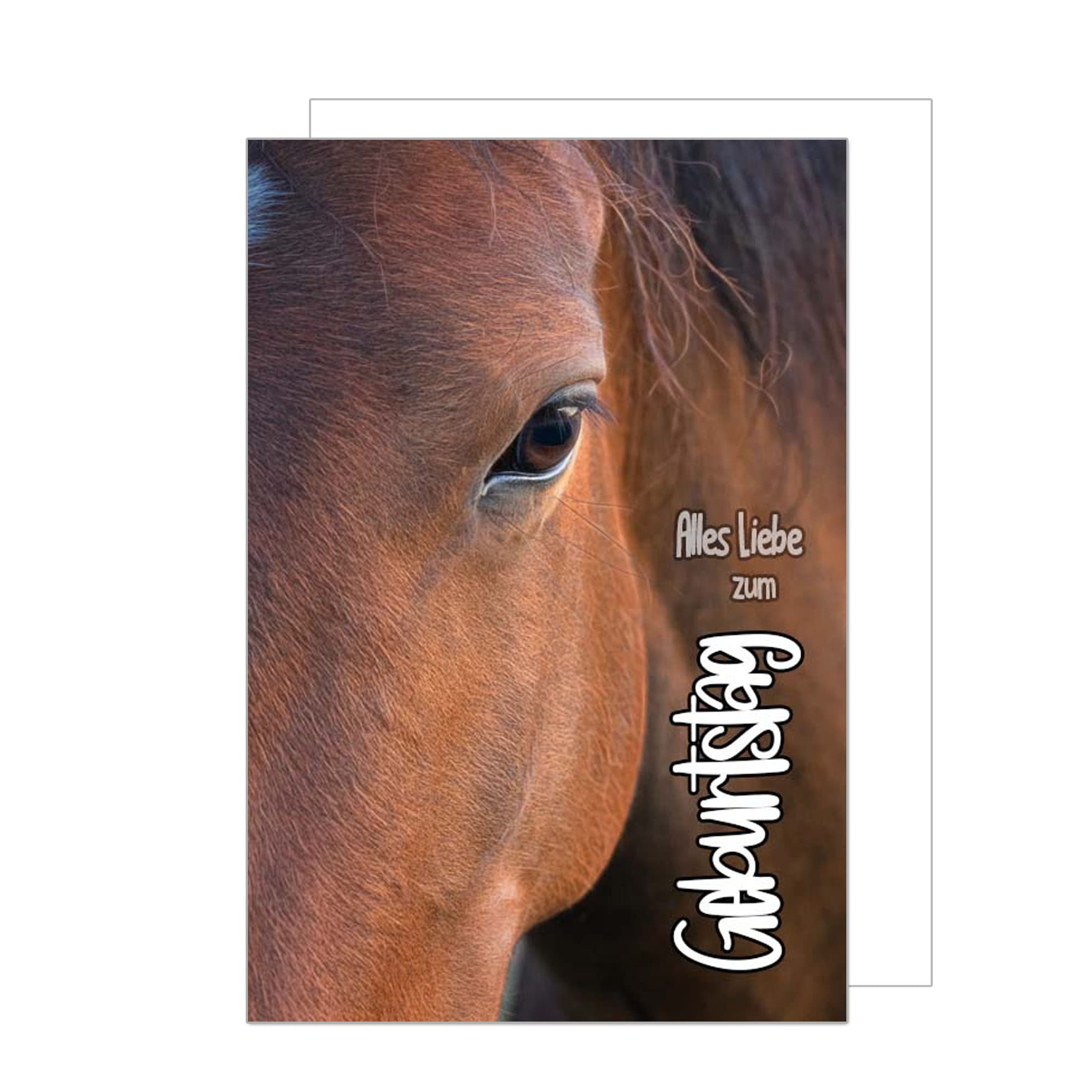 Edition Seidel - 21524 - Carte D'anniversaire De Qualite