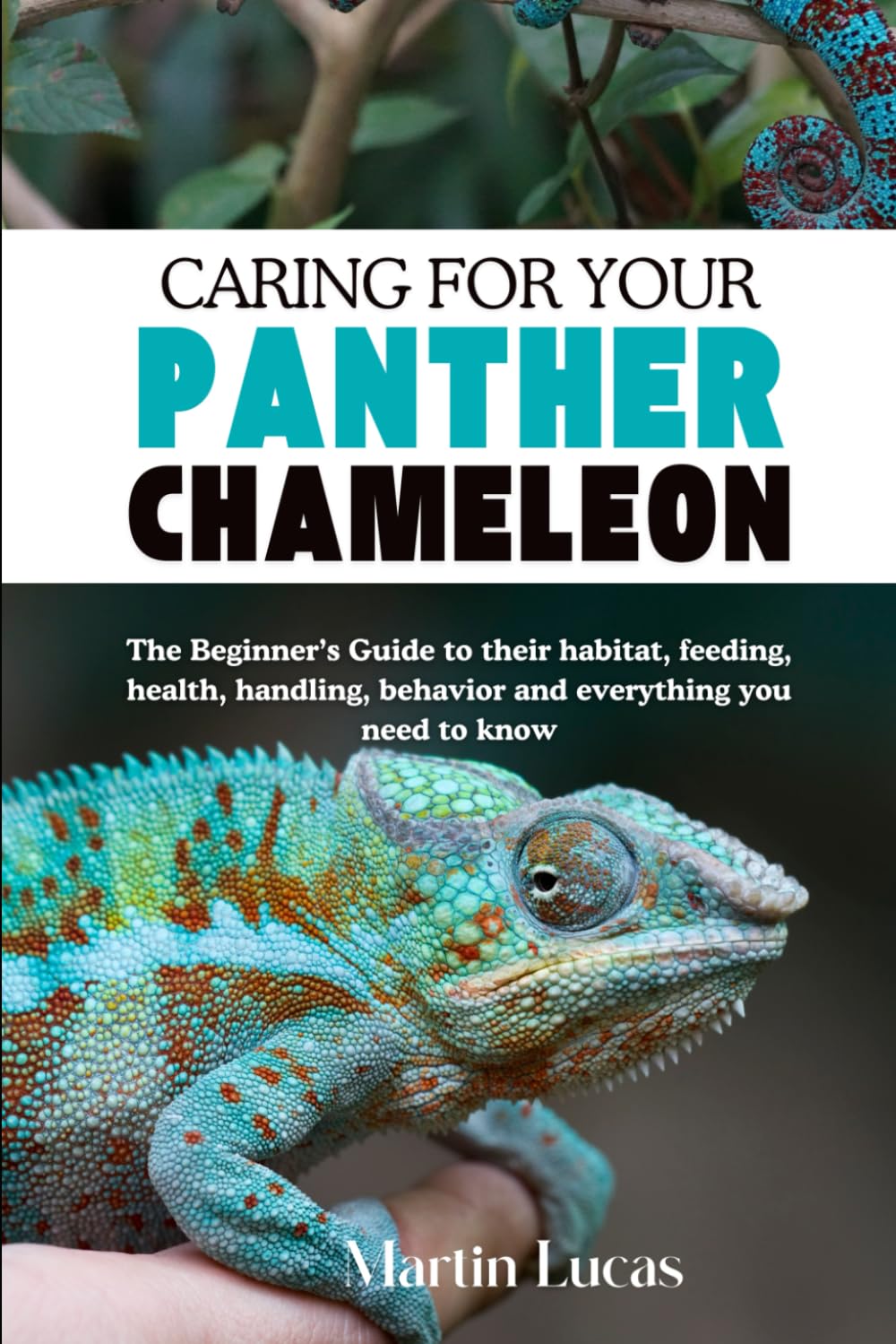 CARING FOR YOUR PANTHER CHAMELEON: The Beginner’s Guide to their habitat, feeding, health, handling, behavior and everything you need to know