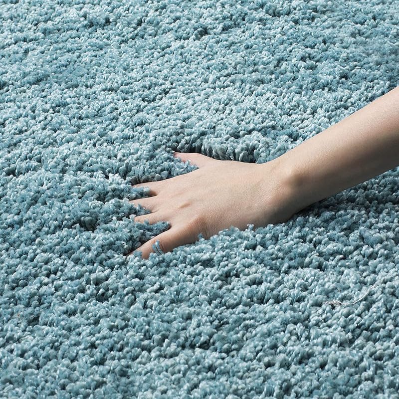 Image of TRANQUIL Polyester Fluffy Fur Rug Shaggy Modern Carpet for Living Room, Bedroom, Guest Room, Kids Room (6x9 Feet, Turquiose)