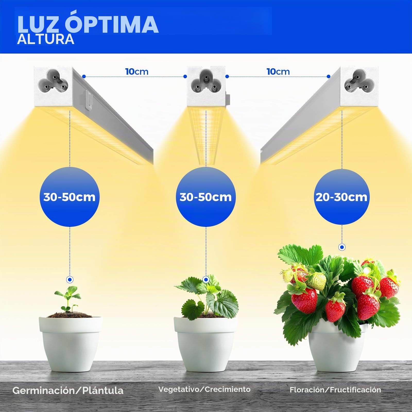 Barrina T5 - Lámpara de planta interior, color amarillo, 29 cm, LED espectro completo, lámpara de invierno LED conectable, tira de luz de crecimiento con interruptor, plug and play, pack de 2