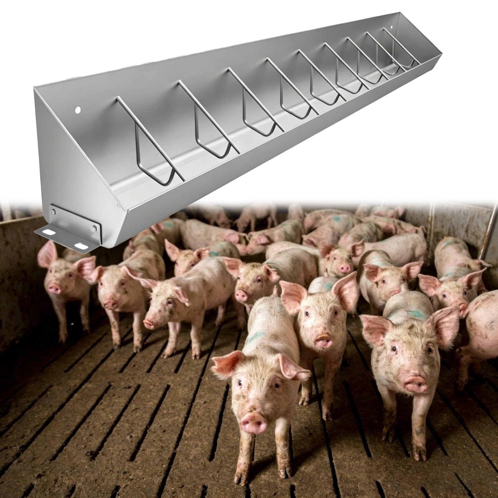 Mangeoire pour porcs usage intérieur extérieur pour nourrir 10 porcelets