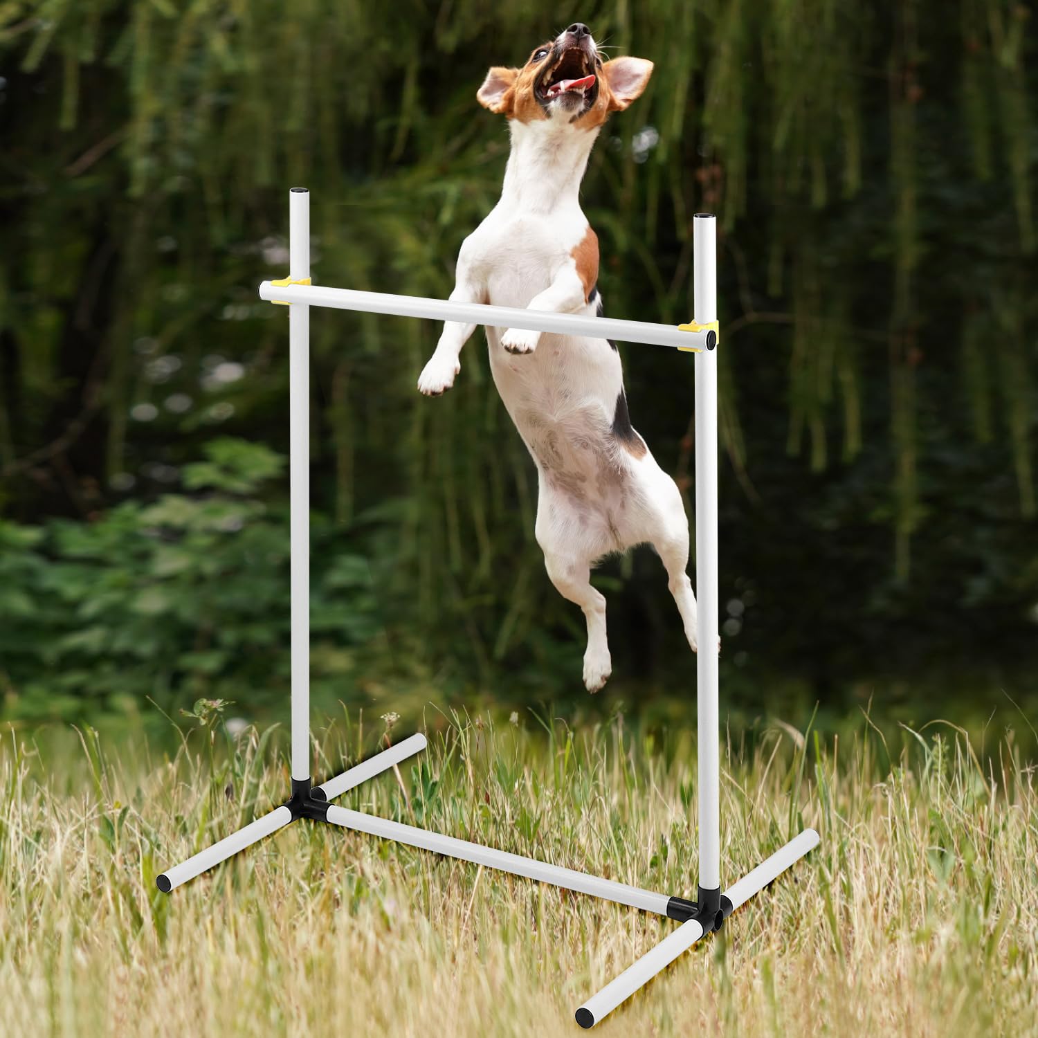 QWORK® Juego de 4 Vallas de Agilidad para adiestramiento de Perros, Vallas de plástico de Altura Regulable