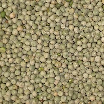 Bamfords Top Flight Small Blue Peas 20kg - High Protein Racing Pigeon Food/Fishing Bait