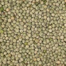 Bamfords Top Flight Small Blue Peas 20kg - High Protein Racing Pigeon Food/Fishing Bait