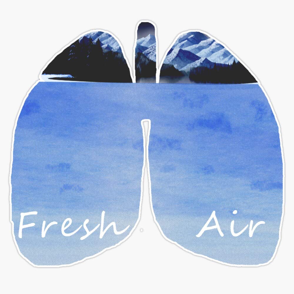 Fresh Air Sticker Vinyl Decal Bumper Sticker 5"