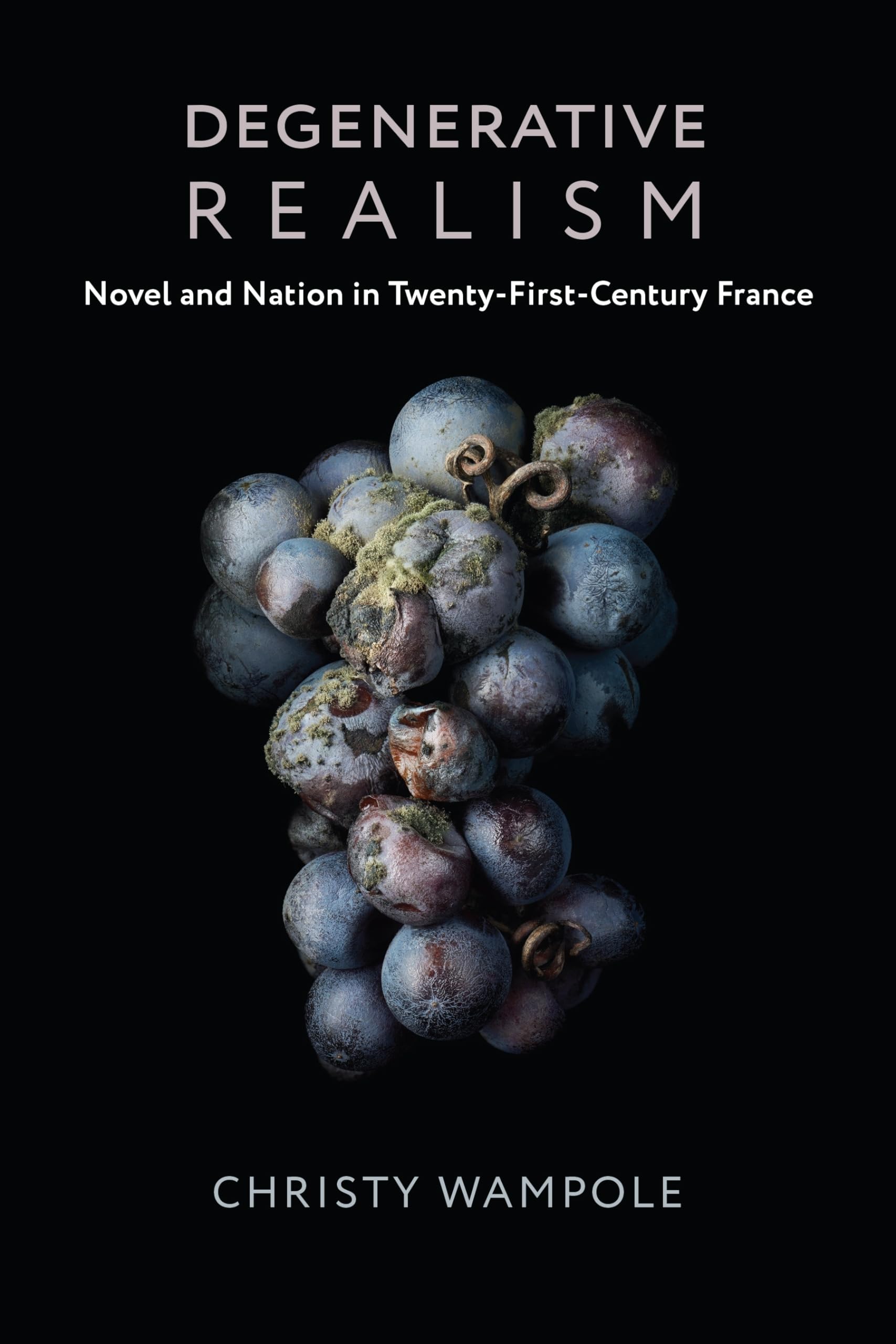 Degenerative Realism – Novel and Nation in Twenty–First–Century France (Literature Now)