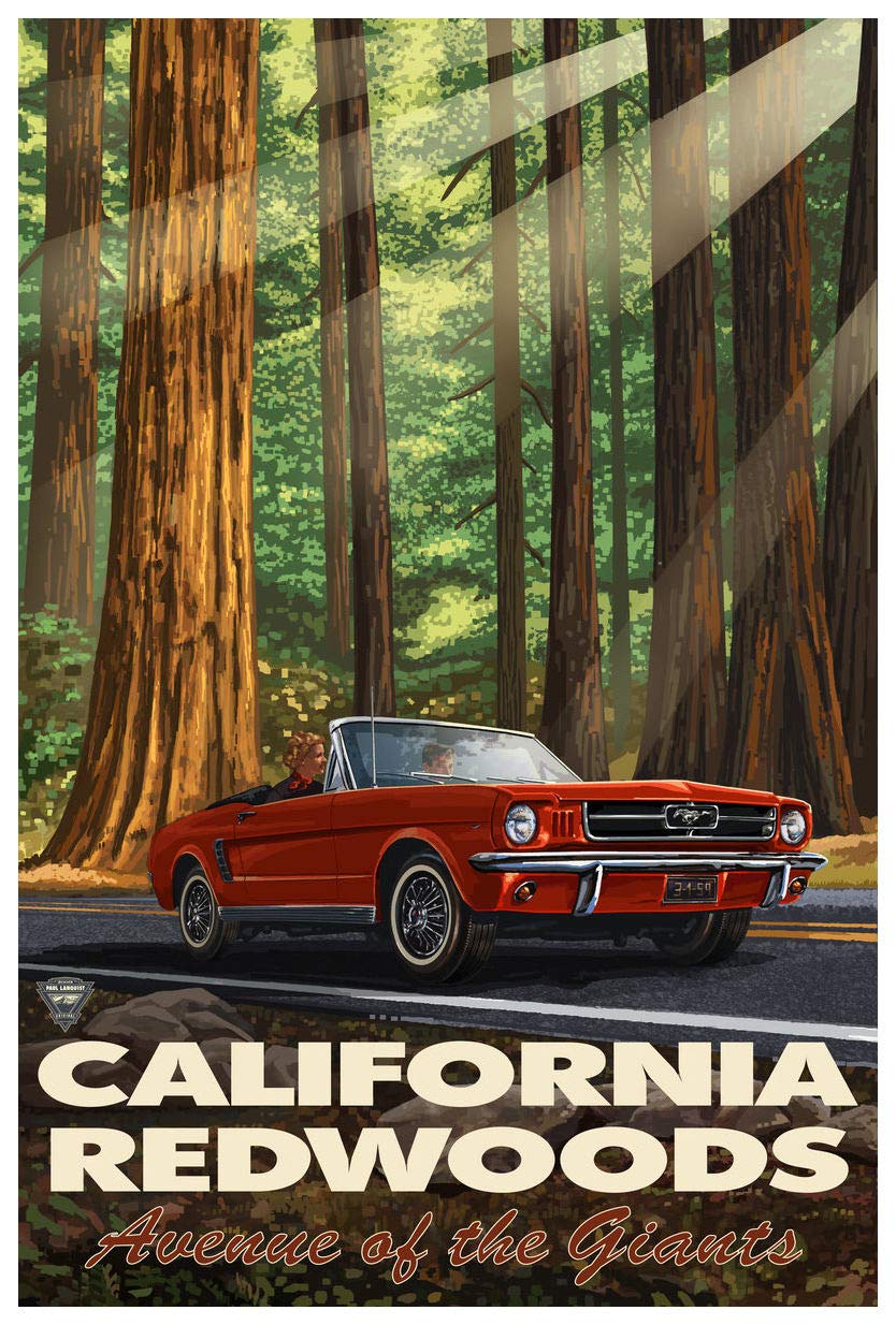 Art of Place California Redwood Highway Mustang Giclee Art Print Poster from Travel Artwork by Artist Paul A. Lanquist 12" x 18"