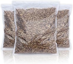 UK Grown Dried Mealworms for Birds & Reptiles – High Protein Natural Treat – Fresh Daily Packed, Premium Quality Insects – Multiple (5 Litre Clear Bag)