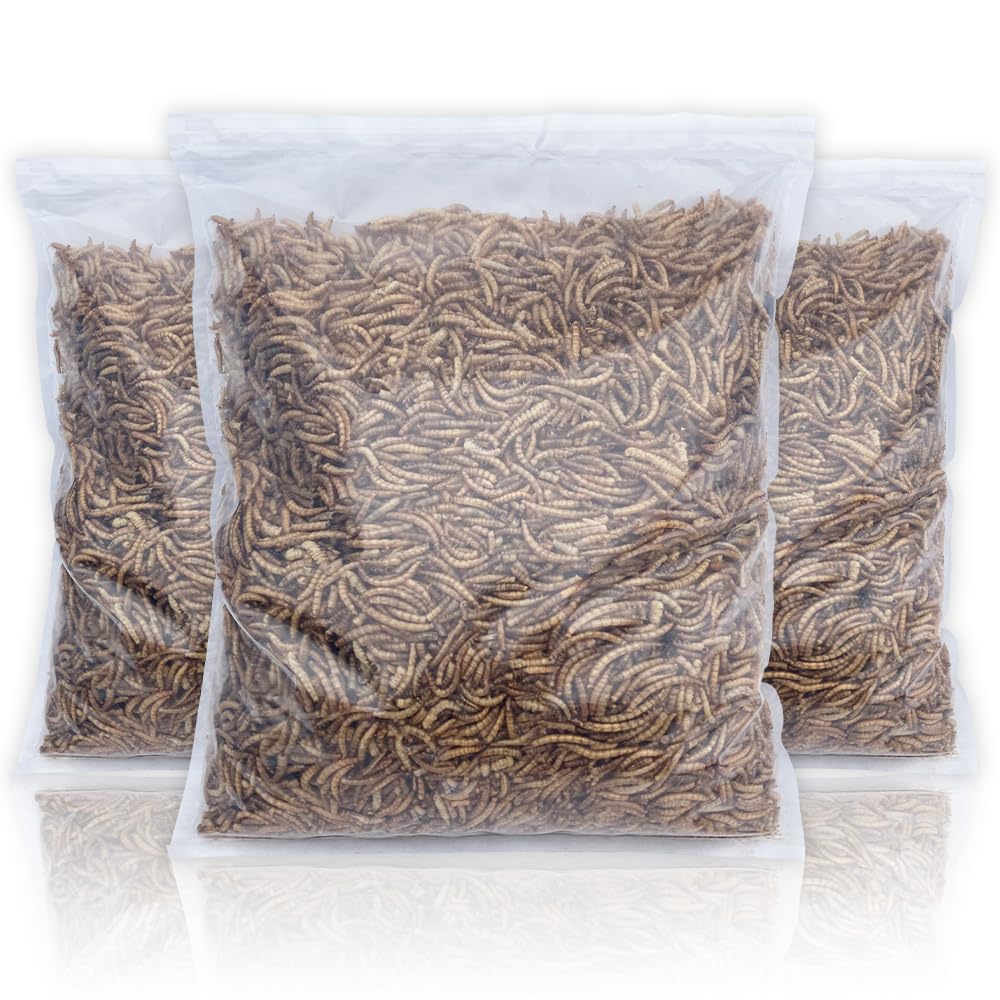 UK Grown Dried Mealworms for Birds & Reptiles – High Protein Natural Treat – Fresh Daily Packed, Premium Quality Insects – Multiple (3 Litre Re-Seal Bag)