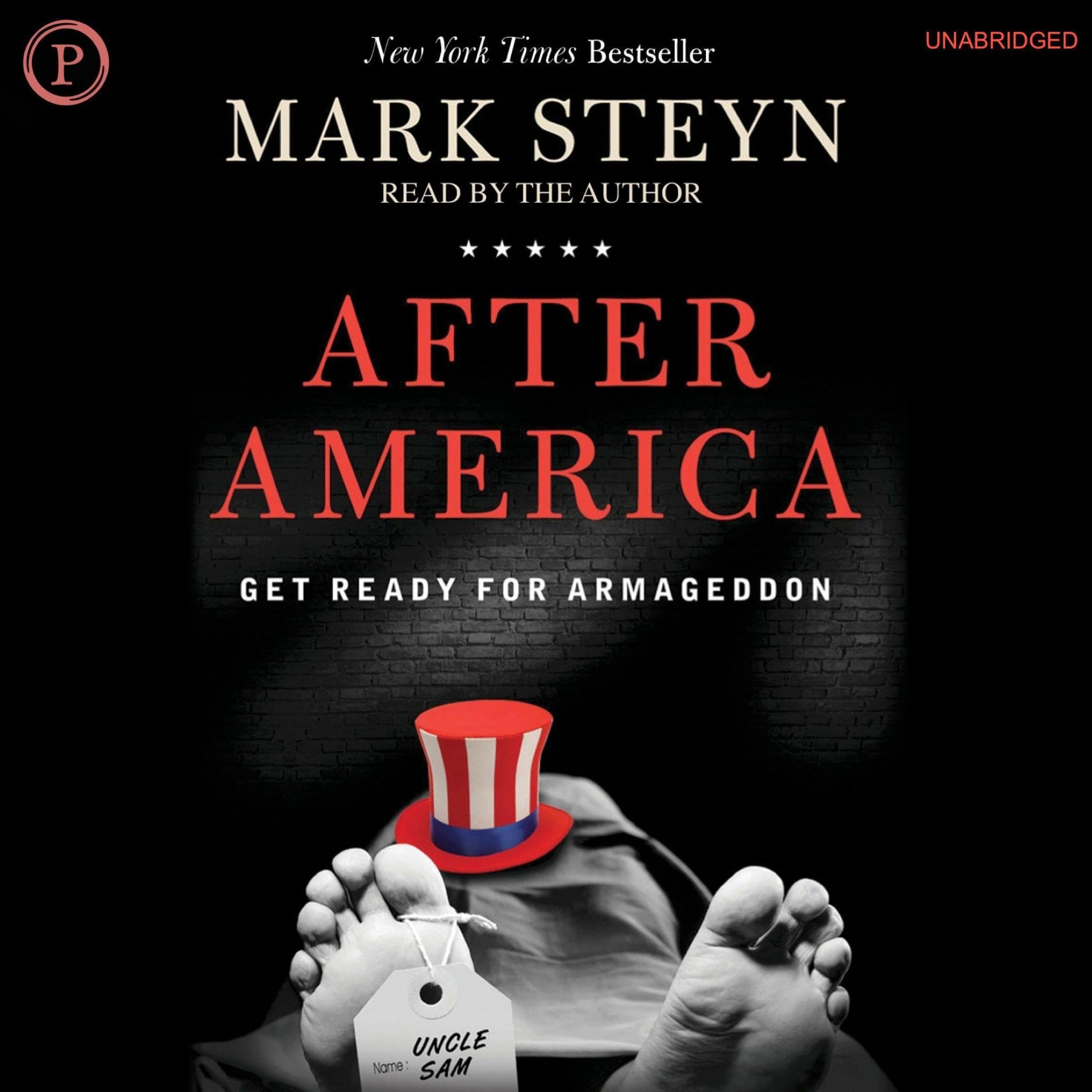 Cover art for After America