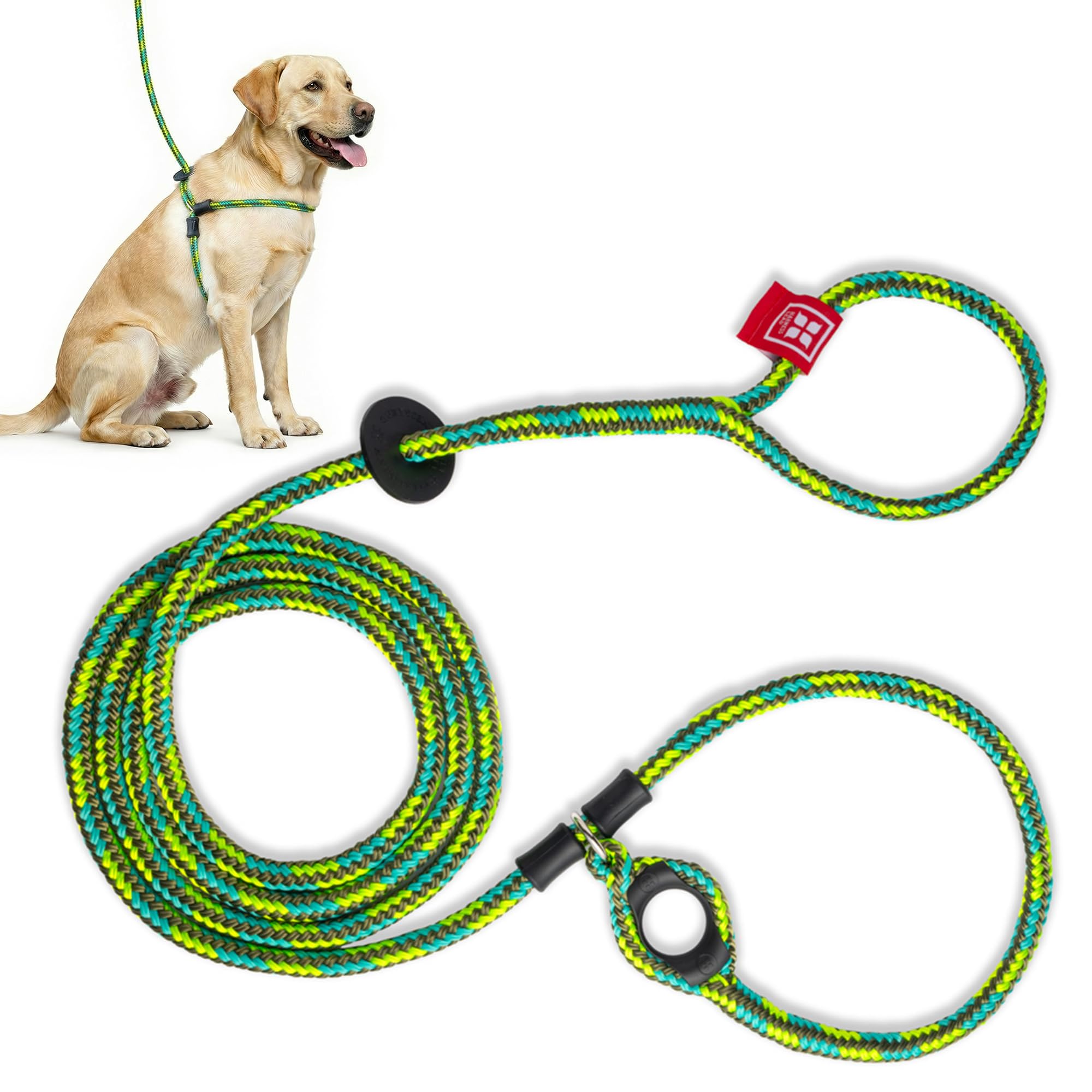 Harness Lead No Pull Dog Harness and Leash Set, Anti Pull Dog Harness, One-Piece Cushioned Rope Safely Prevents Escaping and Pulling *New Insert is