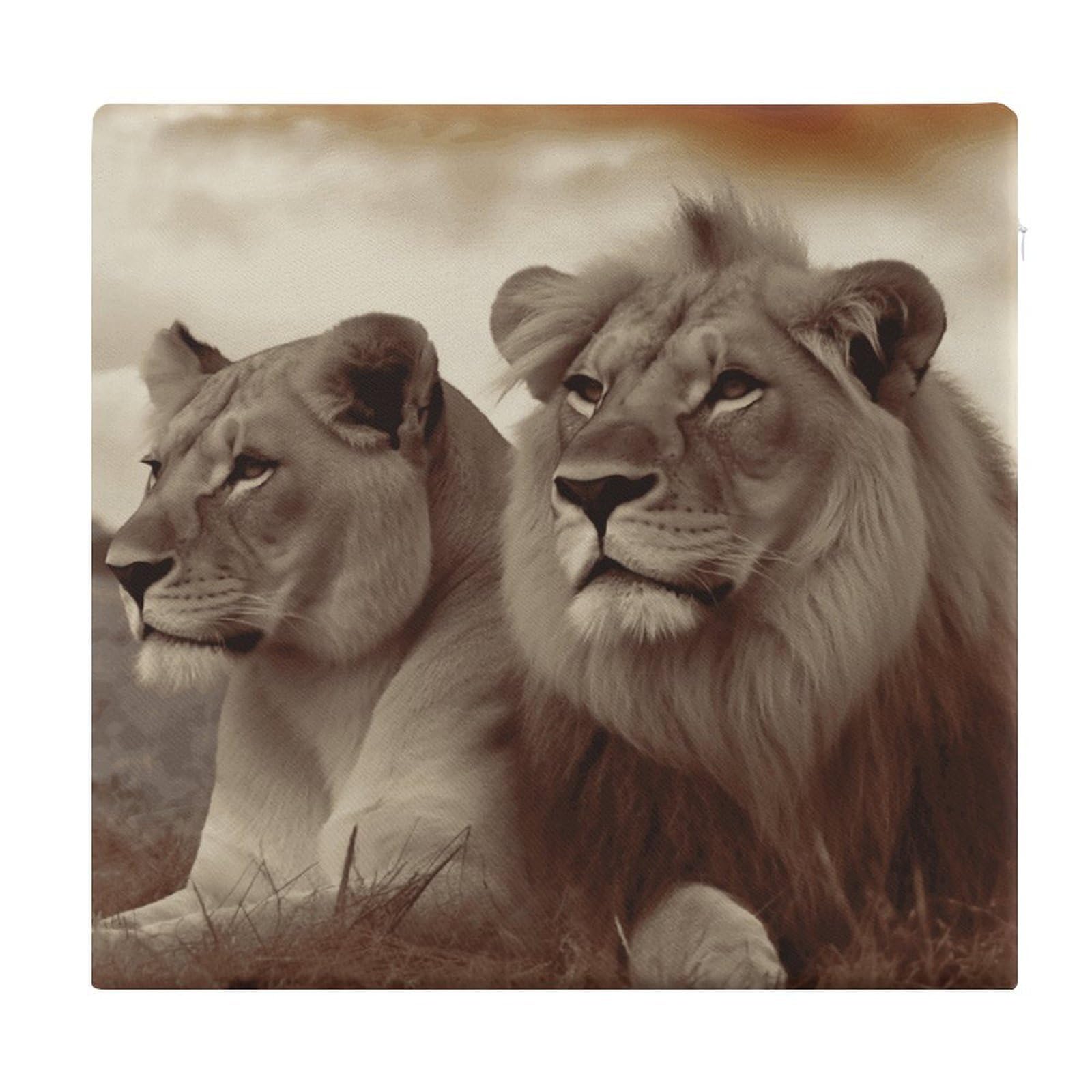 VstaDank African Lion and Lioness Square Cushion Cute Memory Foam Seat Cushions15x13In Comfort Meditation Floor Pillow Removable Cover Soft Stool Cushion Pillow for Balcony Tatami