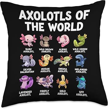 GoshWow Kawaii Axolotl Throw Pillow, 18x18x18, Polyester Fill, Square, Multicolor, Cartoon, Amphibian, Funny, Mexican, Decorative Accent