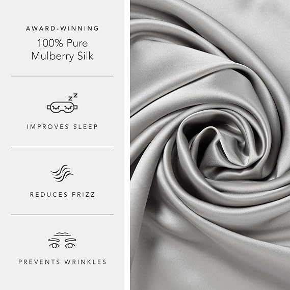 Fishers Finery 19mm 100% Pure Mulberry Silk Pillowcase, Quality Tested (Silver, S)