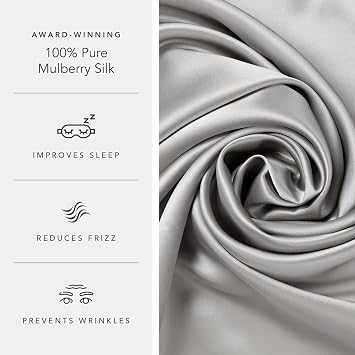 Fishers Finery 19mm 100% Pure Mulberry Silk Pillowcase, Quality Tested (Silver, S)