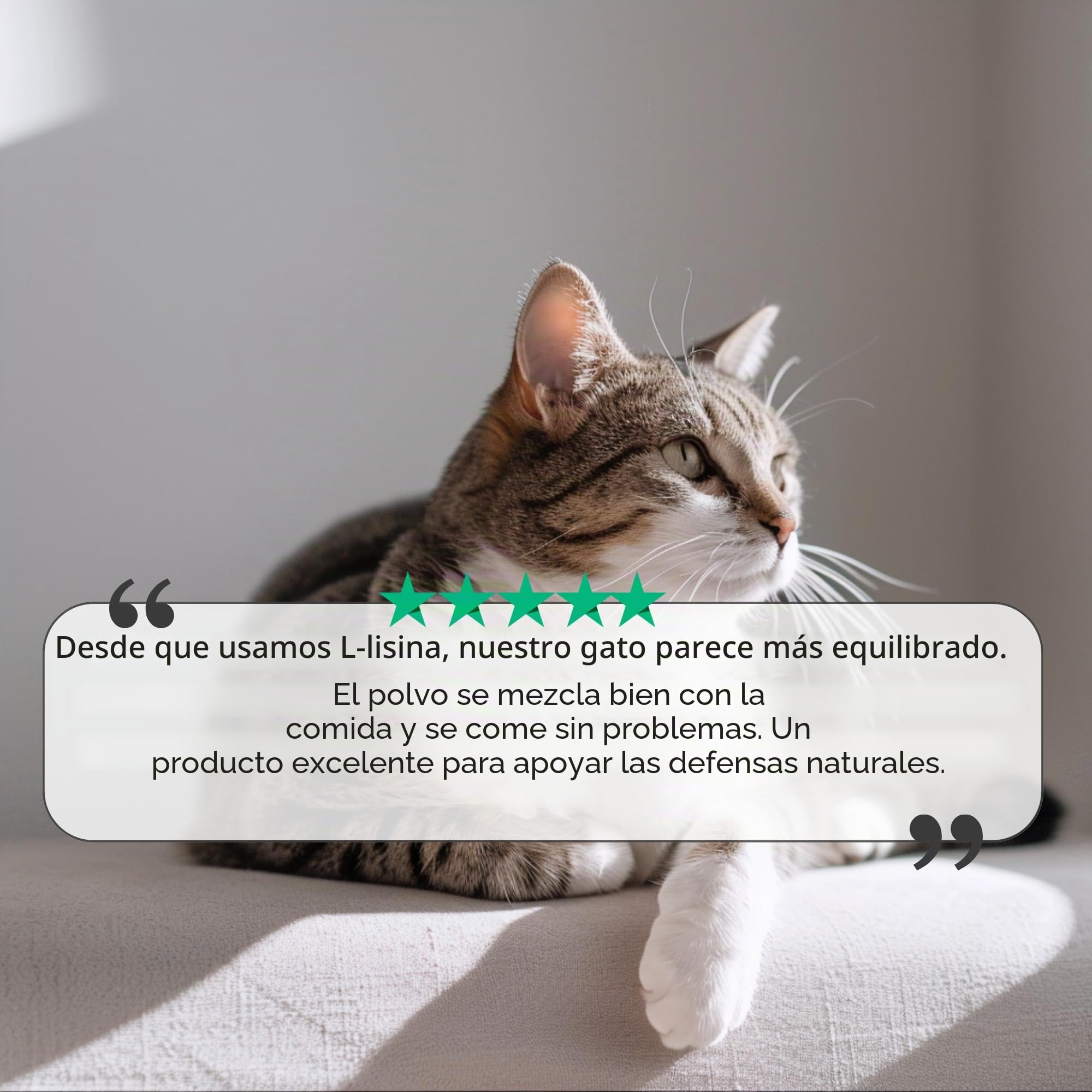 L-lisina para gatos y perros – Cápsulas de L-lisina en dosis altas 670 mg para apoyar el sistema inmunológico – Aminoácido Complemento alimenticio – 100 Cápsulas