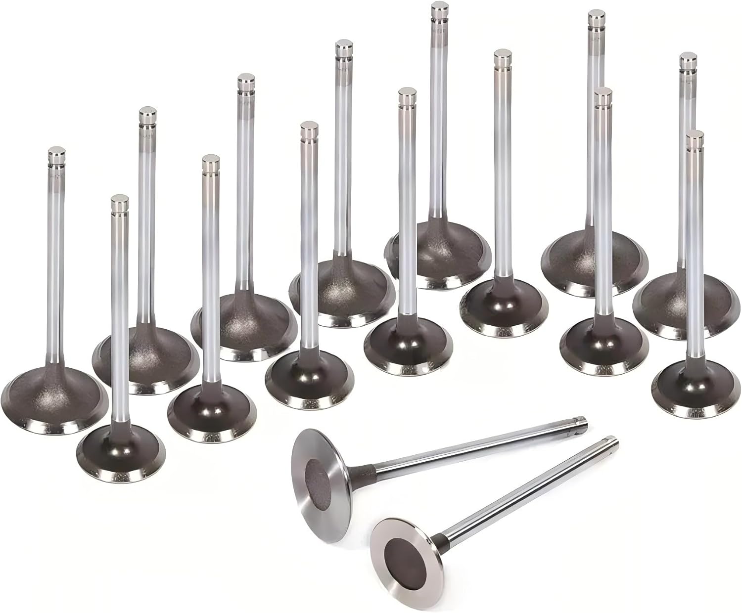 Intake and exhaust valves for the engine