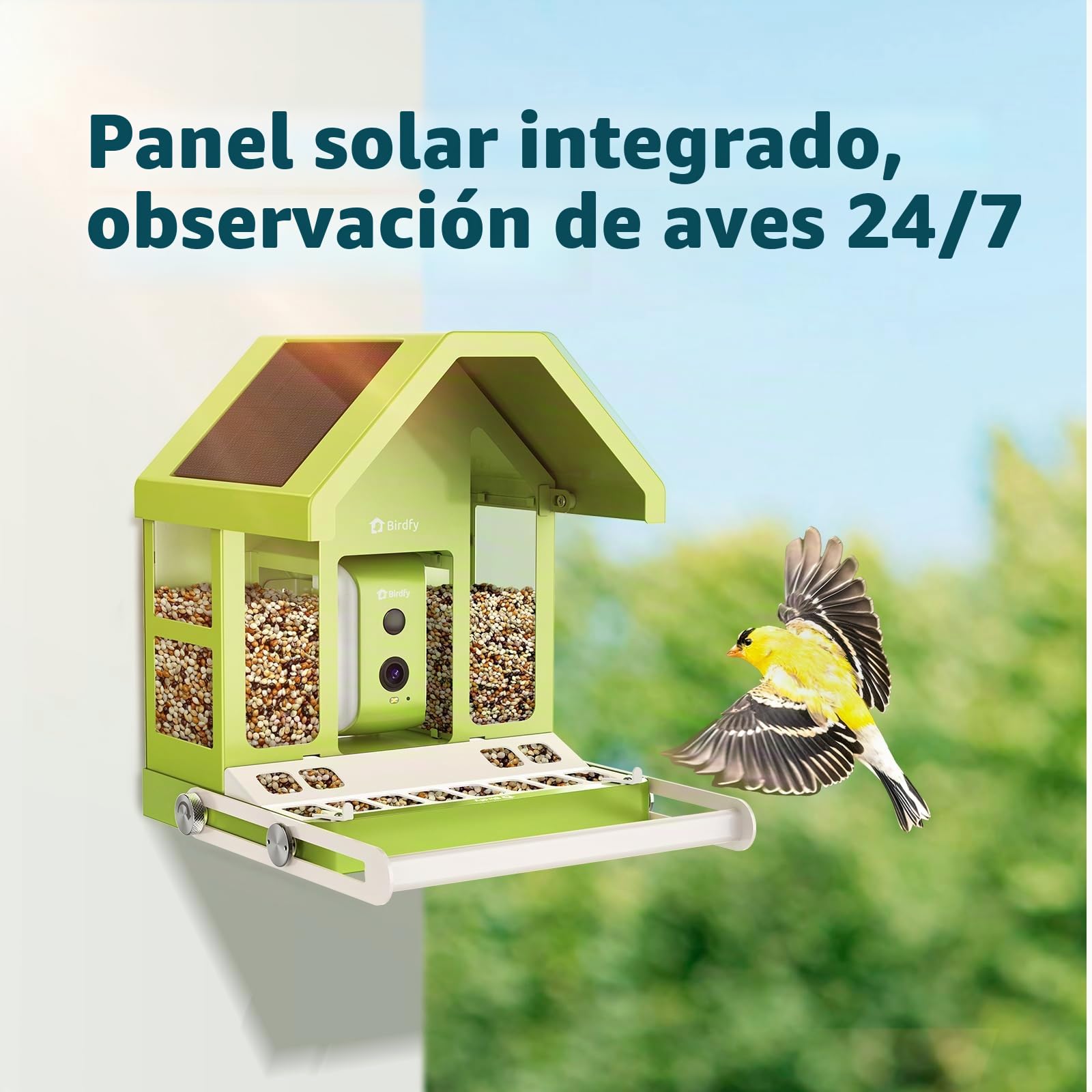 Birdfy Metal Comederos para Pajaros con Camara para Observación de Aves en Vivo, 1080P inalámbrico Bird Feeder con Visión Nocturna en Color, Notificaciones en Tiempo Real, Grabación Automática