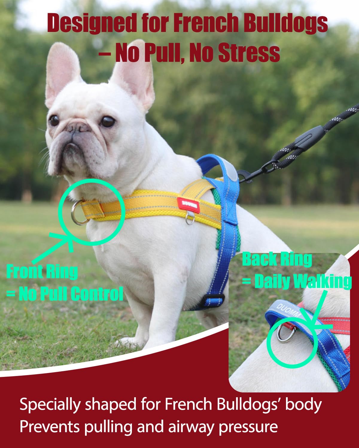 No Pull Dog Harness,Front Clip Dog Harness with Handle,Quick Fit - Easy Walk Reflective Frenchie Harnesses,Lightweight Padded No Choke Vest Pet Harnesses Black S - image 2
