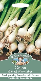 Mr Fothergill's 10890 Vegetable Seeds, Onion (Spring) White Lisbon