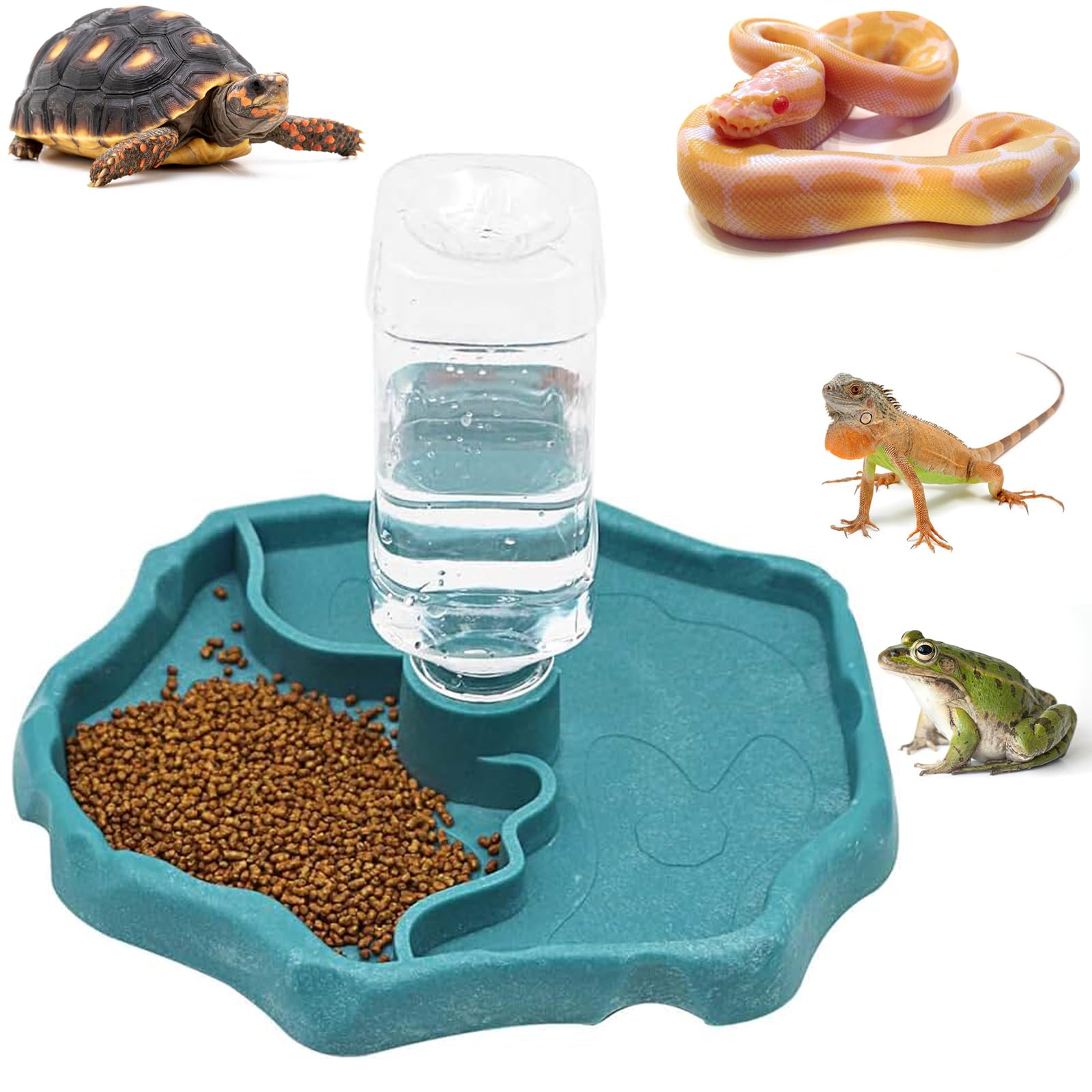 Distributore Di Acqua Per Rettili, Ciotola D'acqua Per Tartarughe, Abbeveratoio Per Mangiatoia 2 In 1 Ciotola Di Rettili, Adatta Per L'alimentazione Di Piccoli Rettili Come Tartarughe, Lucertole