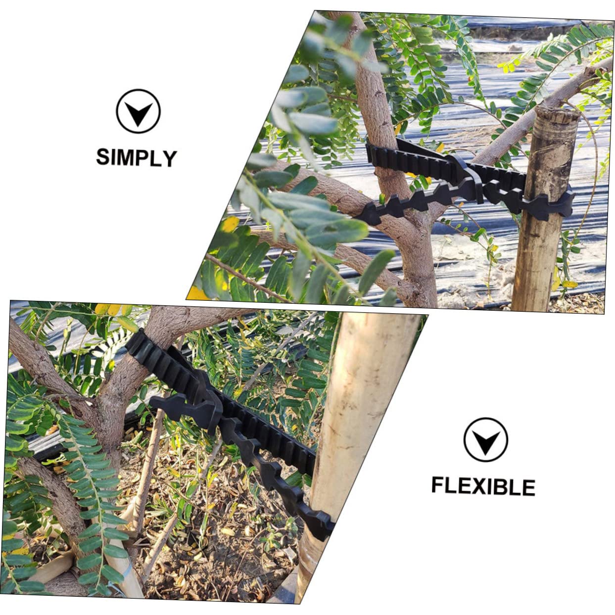 ibasenice Baumbindegurte Gartenbaumbinder 10 Stück Verstellbar Astgurt Gummi Verschlussband Uv Beständig Wiederverwendbar Für Obstbaum Stabil Und Pflanzenschonend