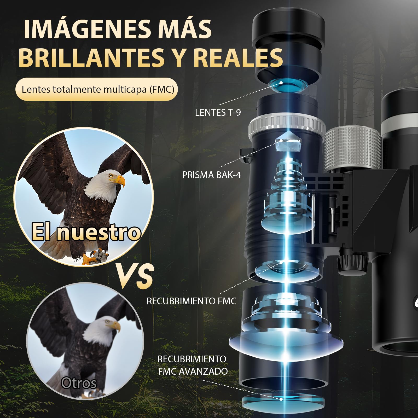 Prismáticos 12x42 Profesionales – Binoculares Pequeños y Potentes, BAK-4 FMC Alta Definición, con Adaptador para Móvil y Trípode, Impermeables y Antiniebla para Observación de Aves y Senderismo | BAK4, FMC, impermeable, a prueba de niebla, de alta potenci