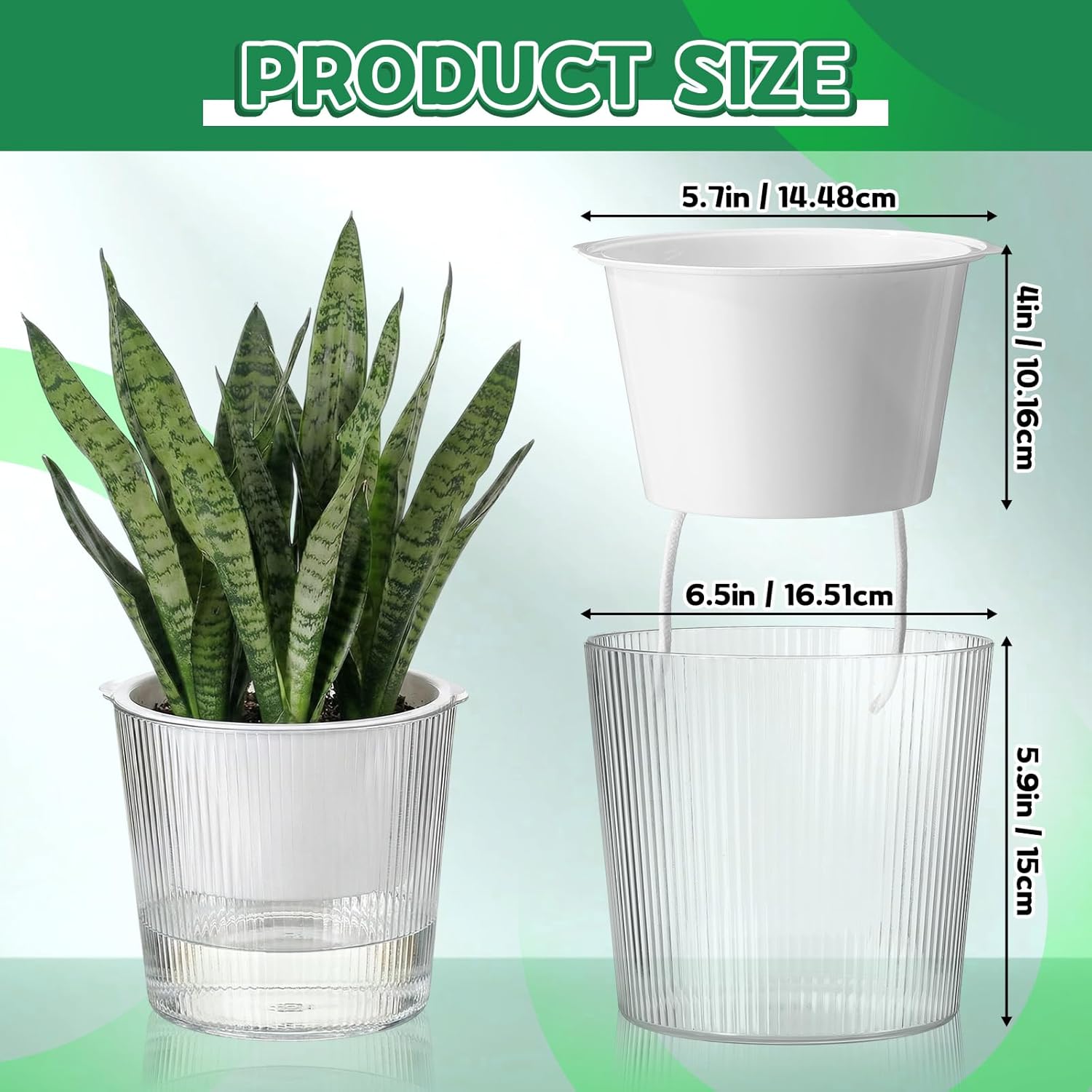 6 Pack Self Watering Pots for Indoor Plants Plastic Vertical Ribbed Semi Transparent Planters, Dual Layer Reservoir for Indoor Succulents Herbs Pothos(Clear, White,6.5 x 5.9 Inch)