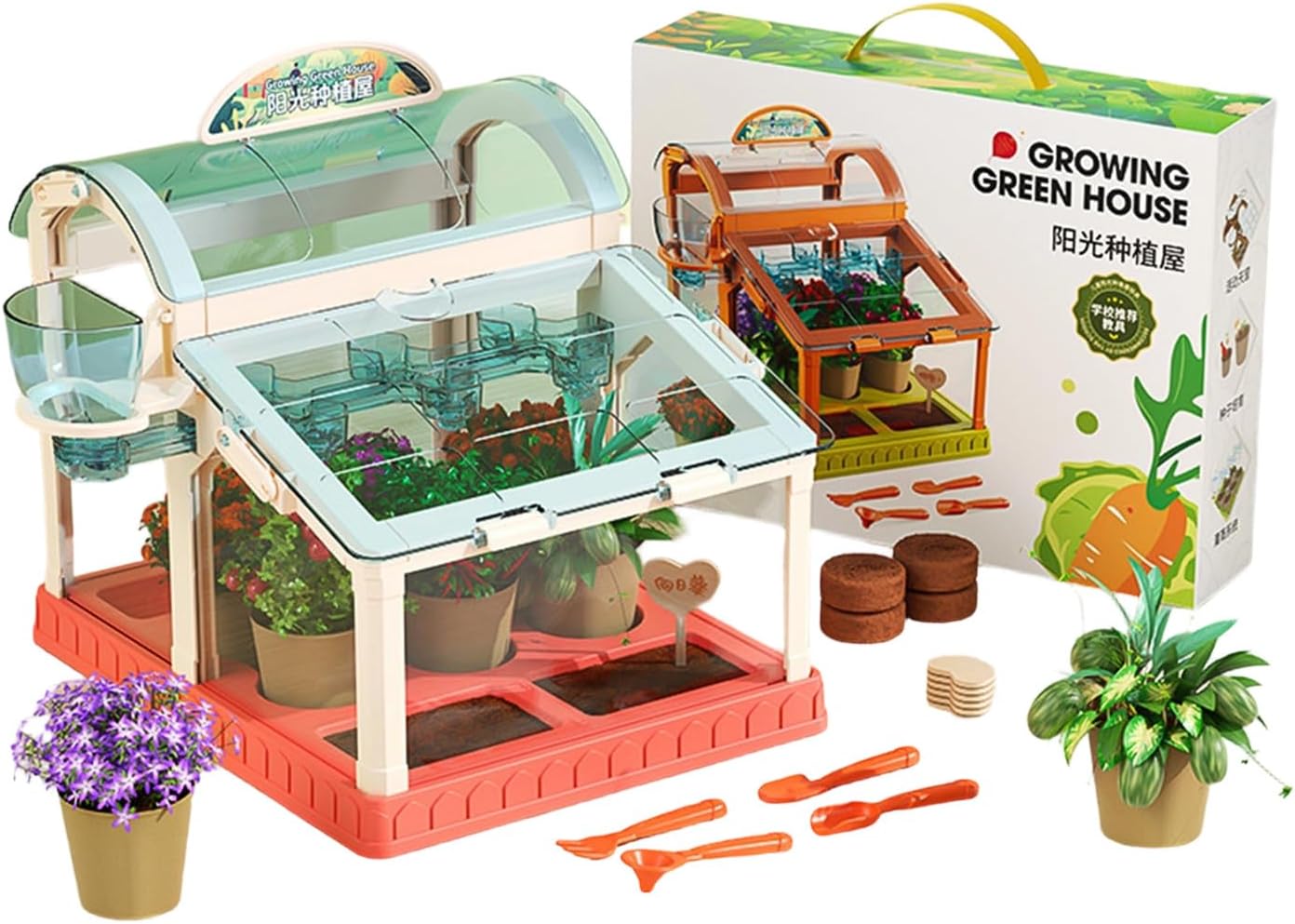 Educational Acrylic Growth Chamber for Junior Gardeners to Explore Nature and Develop Horticulture Skills Educational Planting Set