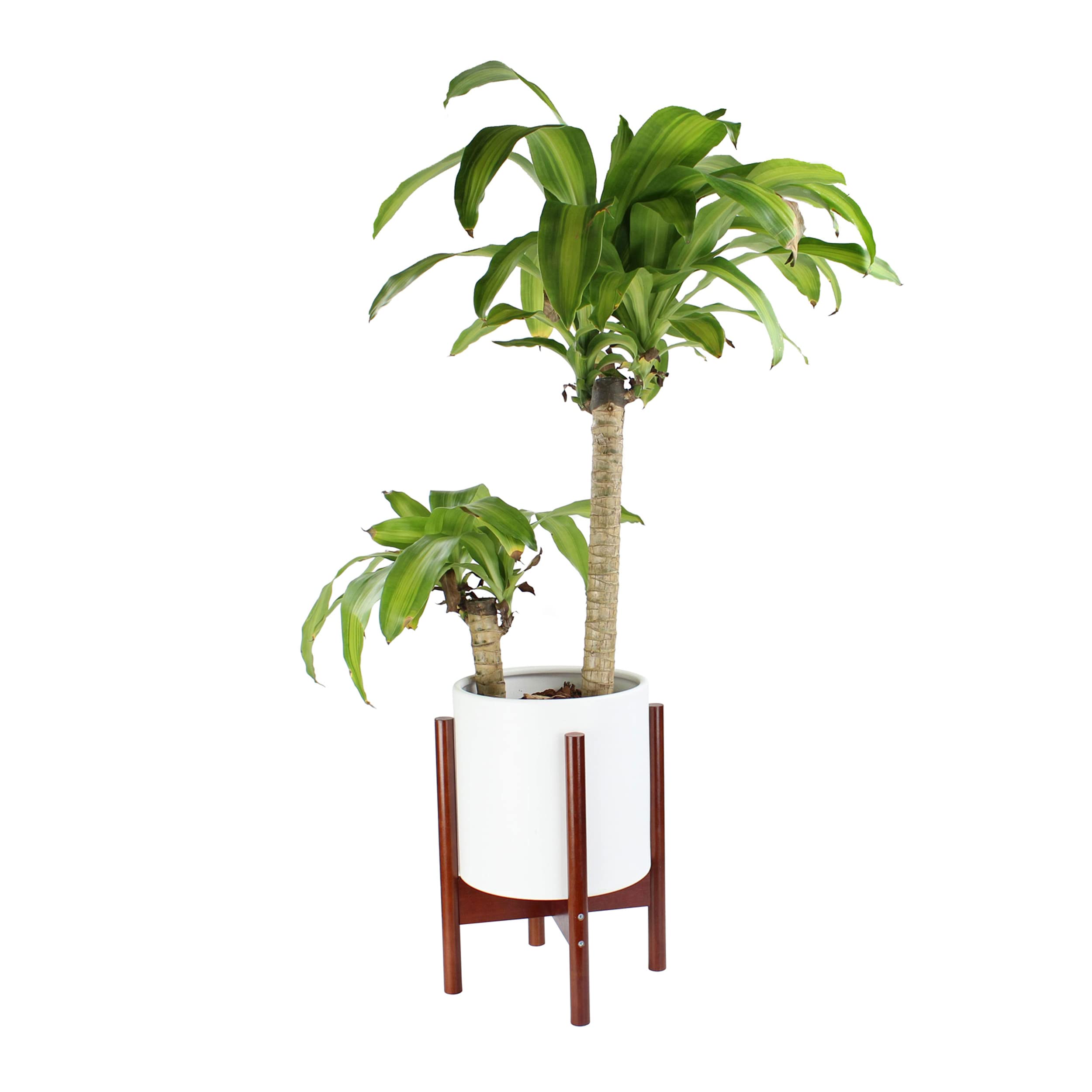 Mid Century Modern Plant Stand with Pot - 10 Inch Indoor Planter Bamboo Plant Stand Holder