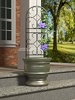 Vista 2 de Panacea 84490 Scroll Pot Trellis - Enrejado, 36 pulgadas, negro