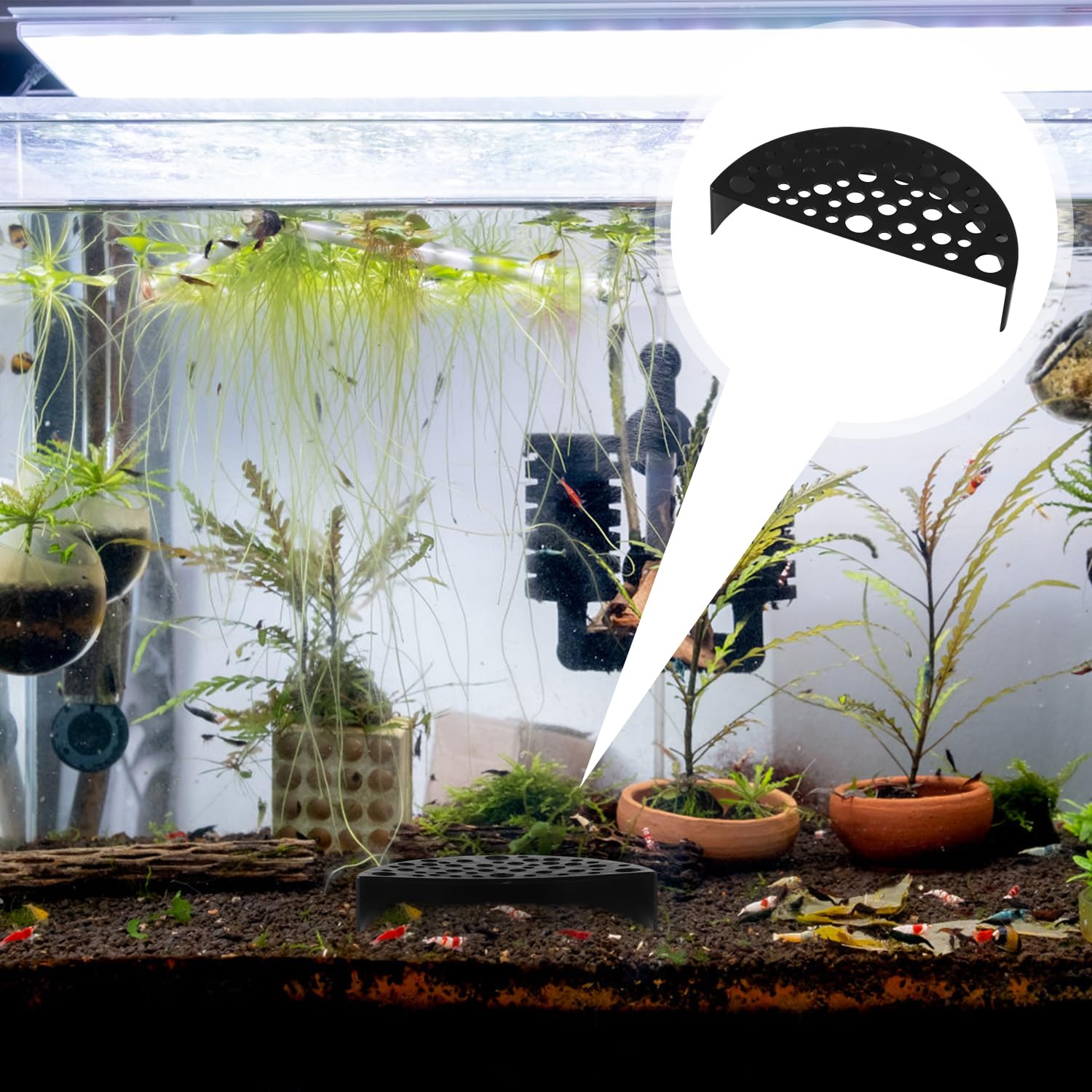 lasuroa Shrimp Breeding Protector - Image 4