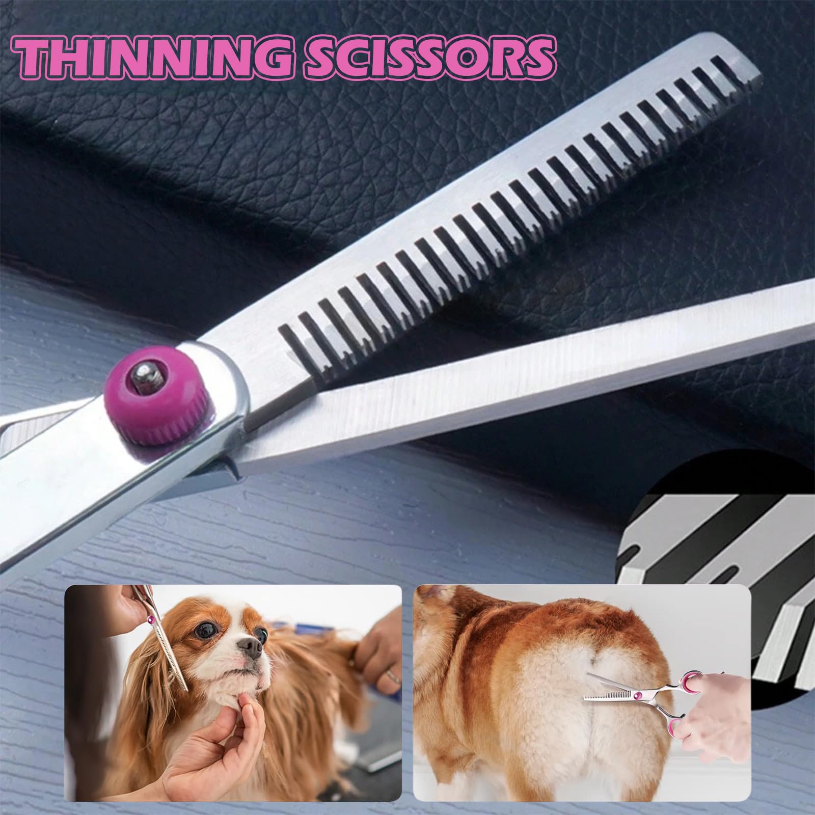 Professional Dog Grooming Kit, Stainless Steel 5-Piece Set including Safety Round Tips, Straight and Curved Shears - Image 4