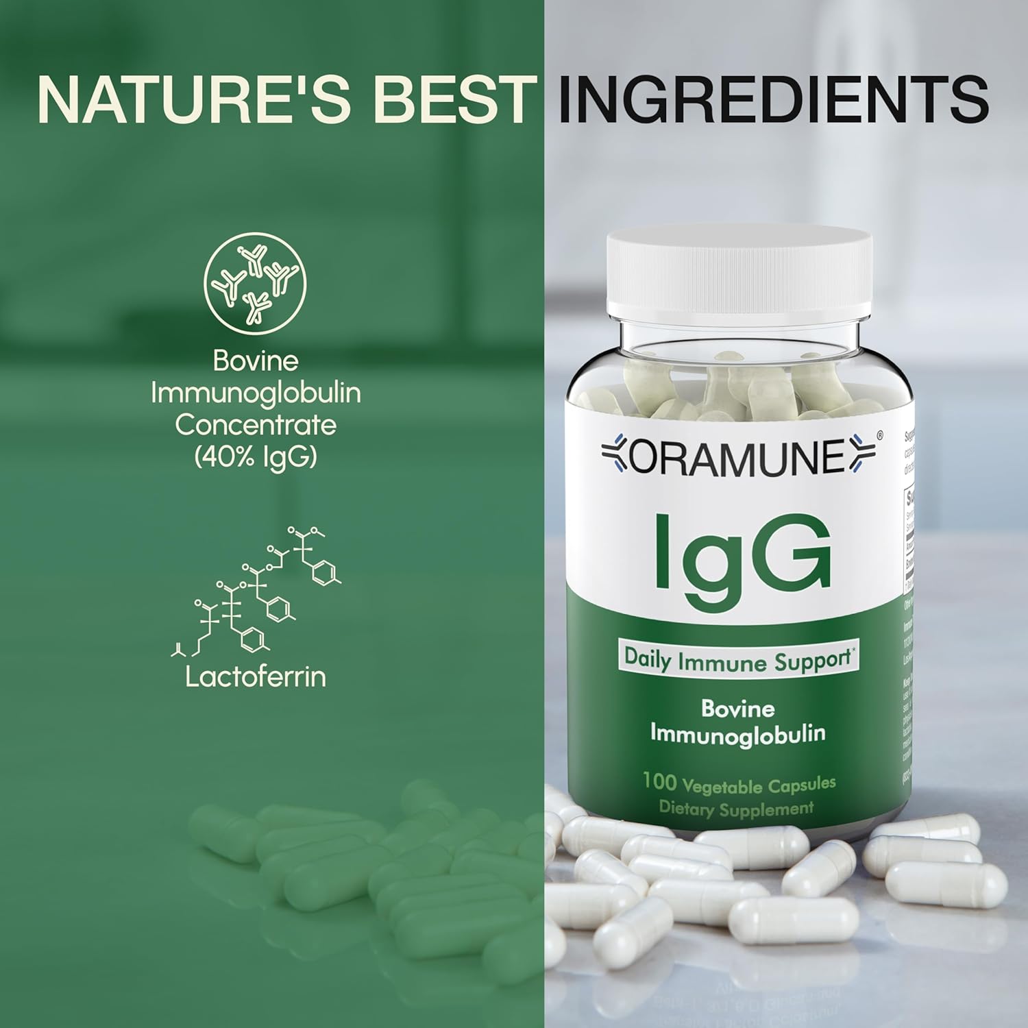 Support Supplement with Transfer Factor and Pure Colostrum IgG Supplement - 500mg Immunoglobulin - 100 Capsules - Image 6