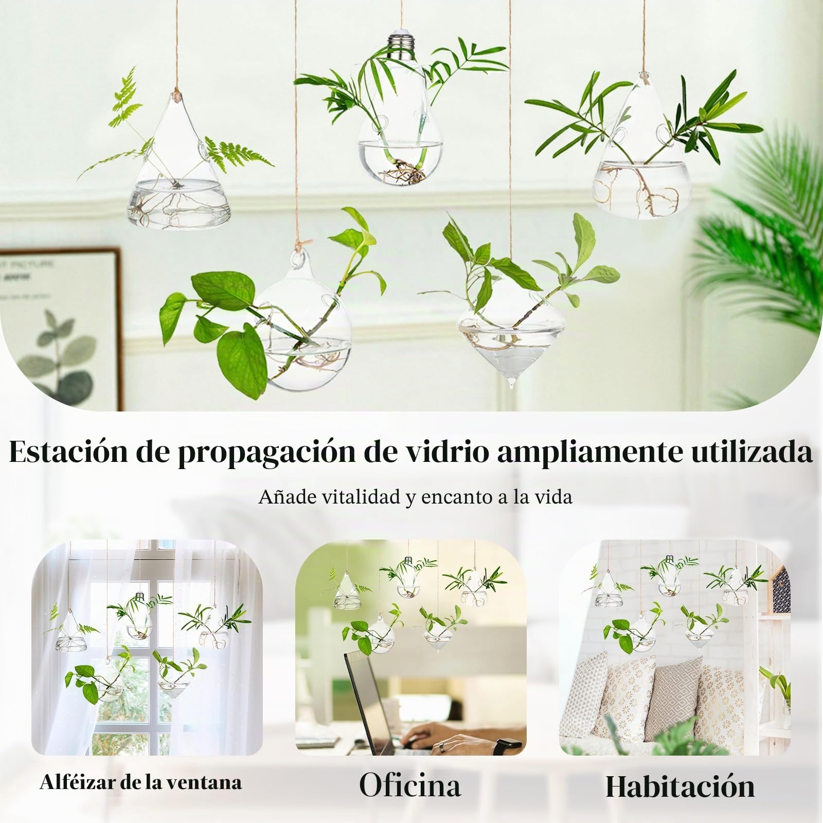 Vidrio Jardineras colgantes Agua Planta de aire suculentos Terrario 5Pcs Set con cuerdas para el jardín del hogar Balcón