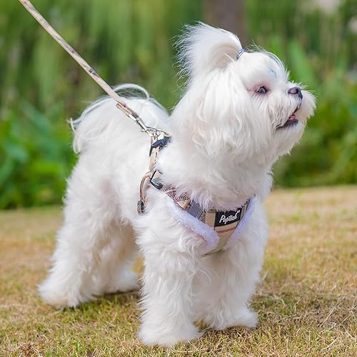 Miniatura 6 de PUPTECK Juego de arnés y correa para perro sin tirones, reflectante, sin estrangulamiento, para cachorros con cuello halter para perros de tamaño
