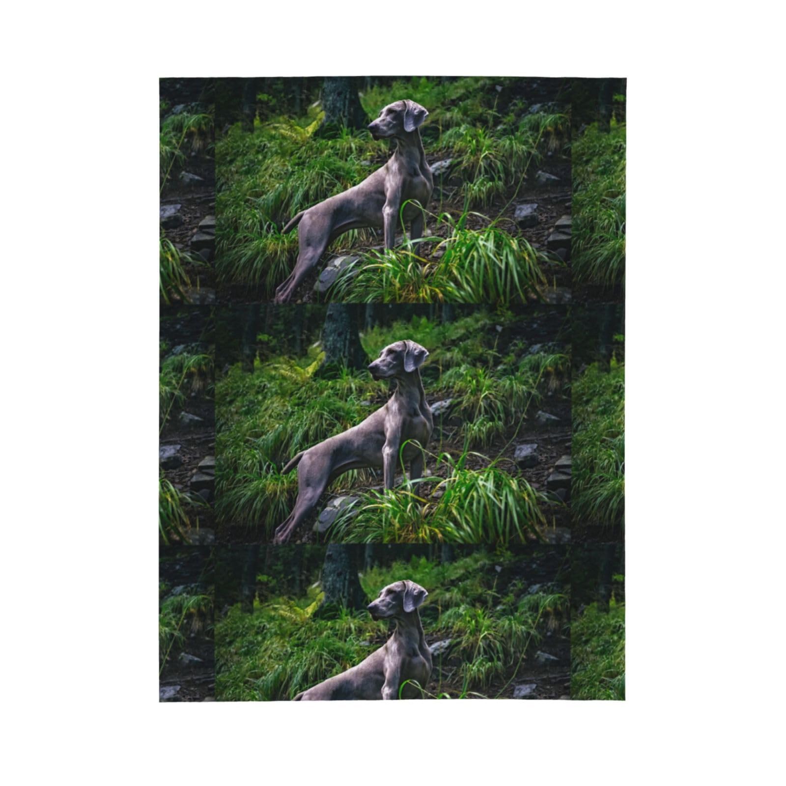 Manta De Tiro Súper Suave Manta De Franela Ligera De Felpa Manta De Cama Peluda Weimaraner Perros Mascotas Perros Grises,60 x 50 Pulgadas.