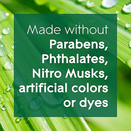 Miniatura 6 de Glade Repuesto de difusor de aceite esencial de aromaterapia, difusor de aromaterapia de niebla fría y ambientador para el hogar, mente tranquila