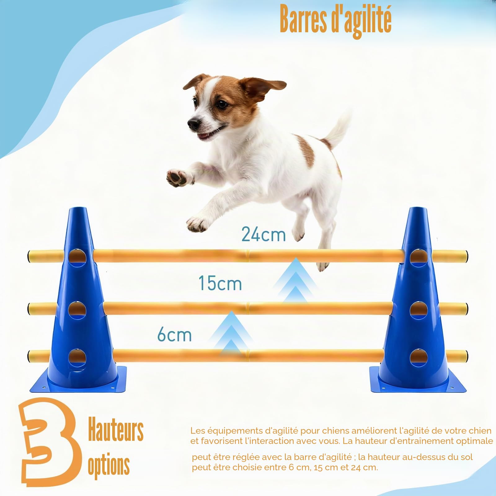 Agility Kit de barrière d'agilité pour Chien - pour Petit Chien - Cavaletti - Obstacles pour Chevaux - Parcours canin - Cavaletti réglables - Hauteur : 32 cm - 8 Barres de 80 cm de Long