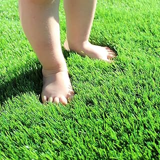 Artificial Grass Turf 3FTX8FT, 1.38" Pile Height Realistic Synthetic Grass, Indoor Outdoor Pet Fa...
