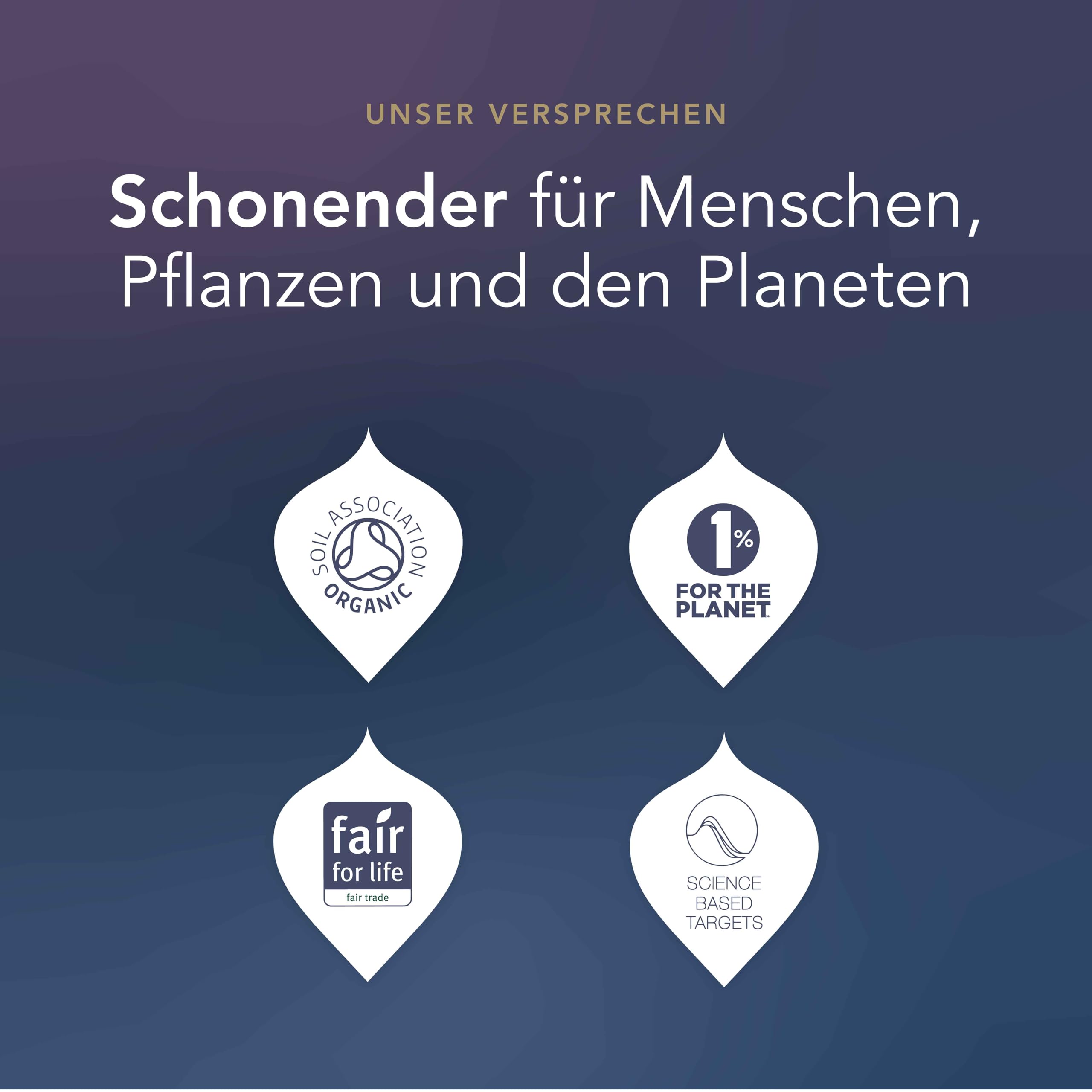 Pukka Tee Geschenkset, Premium Selection Bio Tee Box "Wellness von früh bis spät", Matcha, Kurkuma, Tee Set, Geschenkidee, 6 Varianten,90 Teebeutel